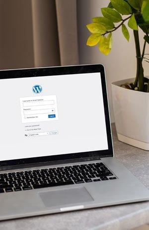 WordPress Website Developers